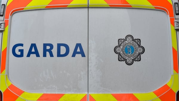 Is the garda insignia in need of a rebrand to go with the new uniforms? Photo: Artur Widak/ NurPhoto via Getty Images