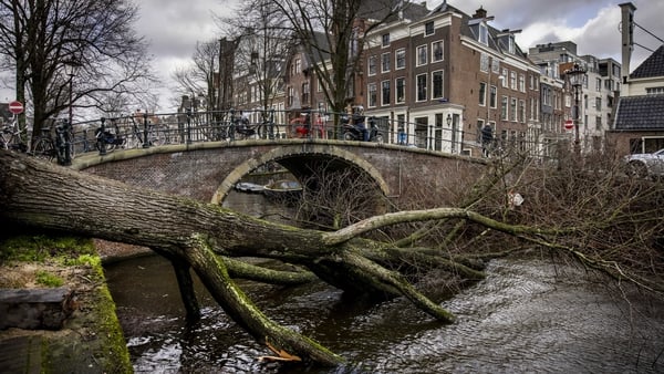 A fallen tree on the Reguliersgracht due to Storm Eunice in the centre of Amsterdam