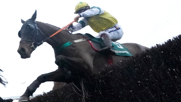 Enjoy D'Allen finished third behind the JP McManus-owned School Boy Hours when last seen over fences in the Paddy Power Chase at Leopardstown at Christmas