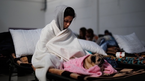 A girl, with her dog, in a shopping centre set up for Ukrainian refugees in the village of Mylny in Poland.