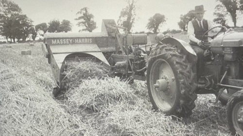 'Between 1941 and 1945 - when the scheme was at its most draconian - the state responded to a fairly widespread dissidence by confiscating some 7,365 acres'