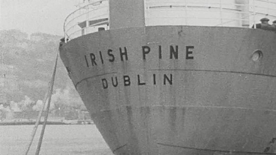 Irish Pine on 'Broadsheet' (1962)