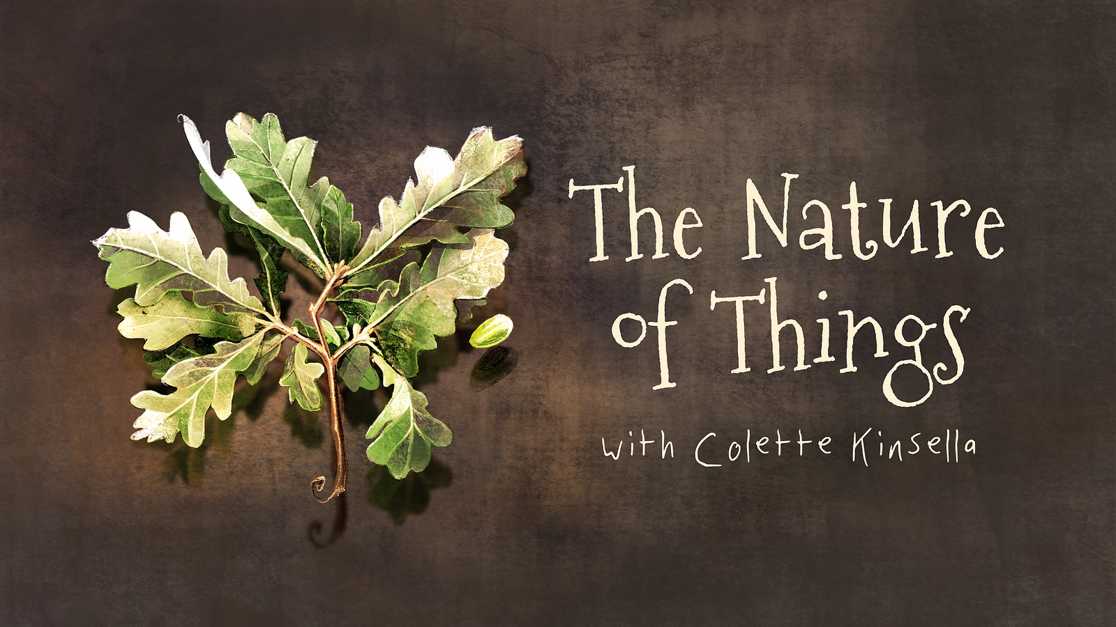 The Nature of Things: It's all about your natural curiosity!