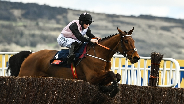 Bob Olinger and Rachael Blackmore brush through the last in the Novices' Chase