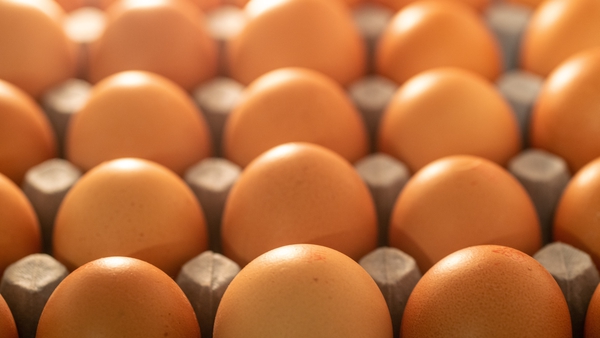 Consumers bought 619 million eggs in the 12 months to July