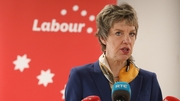 Labour Leader Ivan Bacik