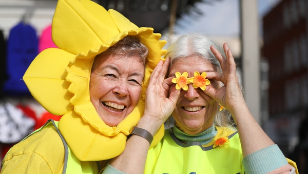 Daffodil Day raises funds for the Irish Cancer Society