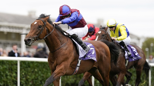 Luxembourg's only defeat in his six-race career came in the 2000 Guineas