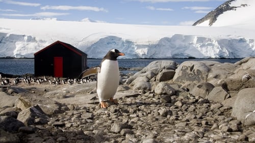 The job description for the Antarctica role warned that the position would entail a degree of isolation