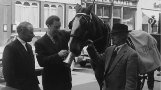 Dublin cabbie Joe Eustace is presented with a new horse by his sponsor John Ryan, 1962.