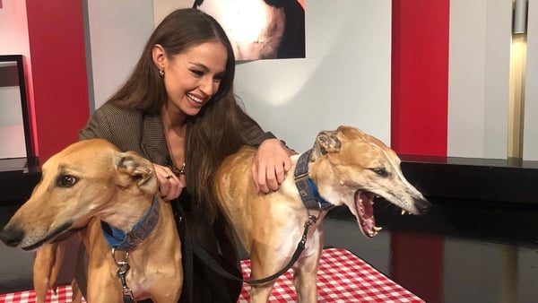 Thalia Heffernan and her pups joined Claire Byrne in studio.