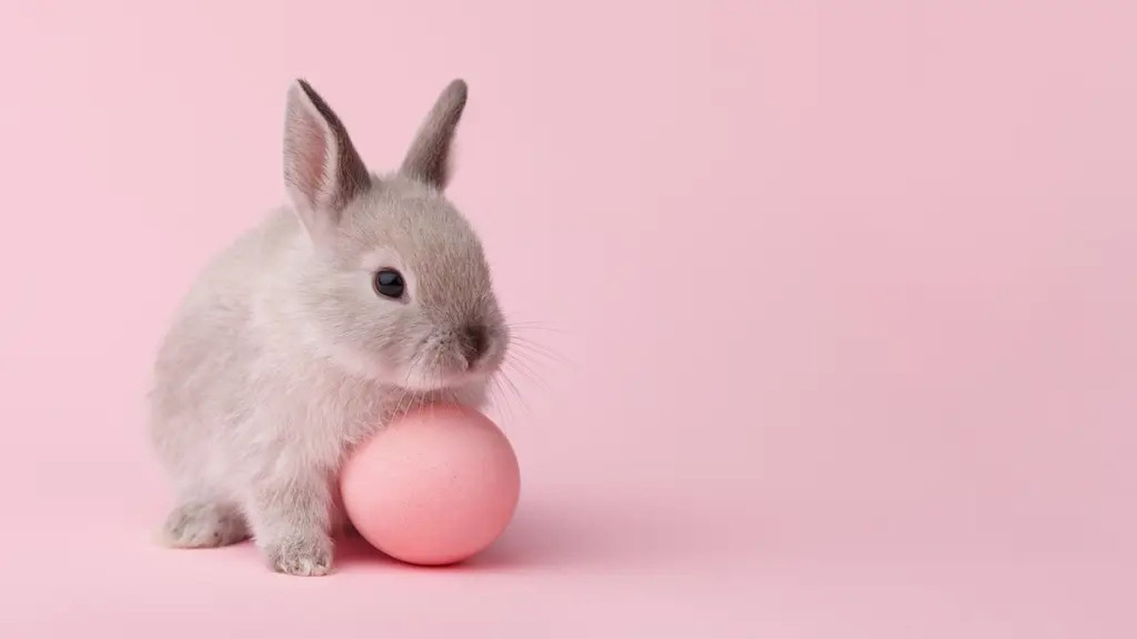 Where did the Easter Bunny come from?