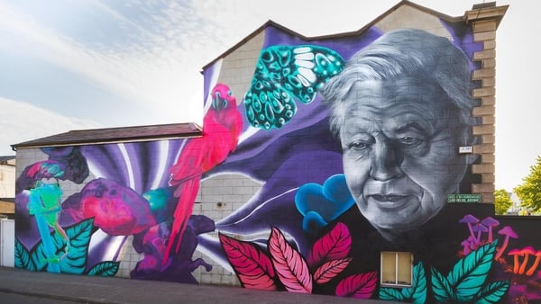 A mural of David Attenborough in Portobello, Dublin