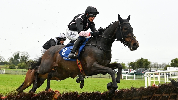 Brandy Love has been off the track since Fairyhouse in April