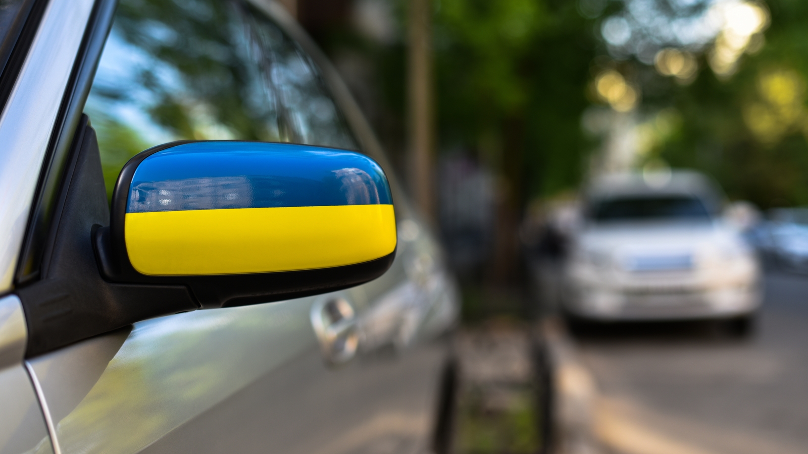 UN documents 'unlawful' killings in Ukraine 