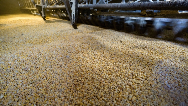 Ukraine is one of the world's leading sources of grain