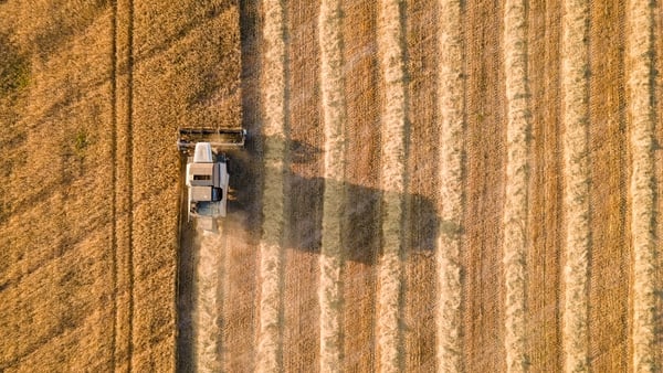 Origin Enterprises said the war in Ukraine and ongoing global energy and supply disruptions have resulted in exceptional price volatility for feed and fertiliser raw materials