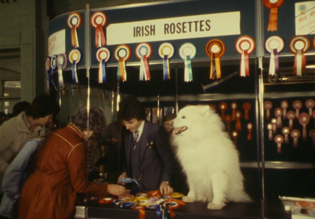 The Daly's Rosette Stand at the RDS Dog Show (1982)