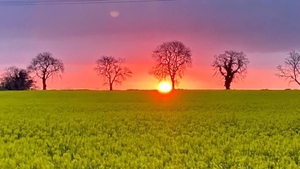 Dawn Chorus 2022