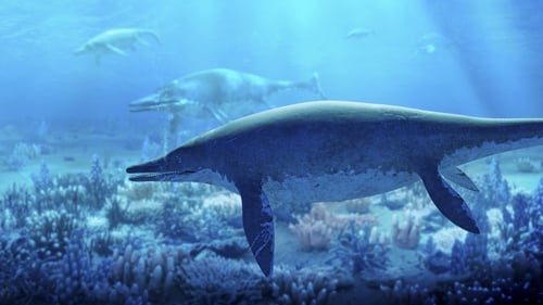 Shastasaurus, a member of the ichthyosaur group