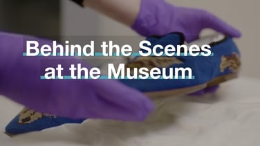 Behind the Scenes at the Museum - Brainstorm TV