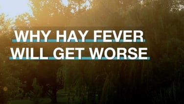 Why Hay Fever will get Worse - Brainstorm TV