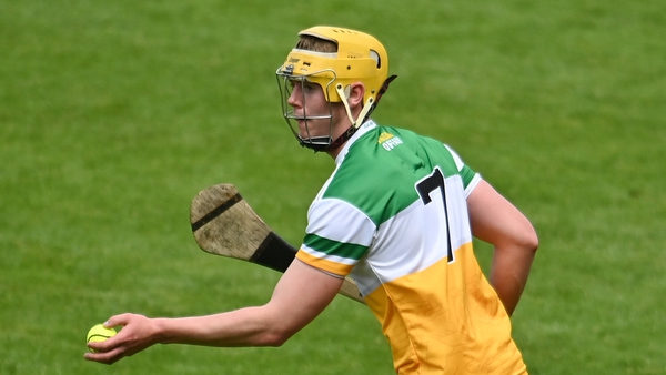 Killian Sampson contributed 1-05 for Offaly