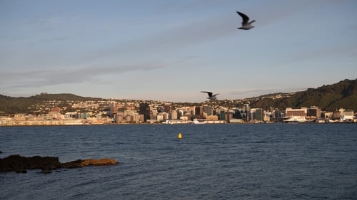 A view of the Wellington City coastline. The city could expect 30cm rise by 2040 - which had not been expected before 2060 (file image)