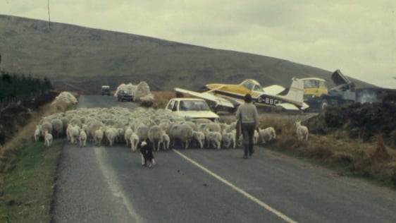 Light aircraft uses country road in County Wicklow as runway (1977)