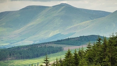 Digital Dad: Ballyhoura Country