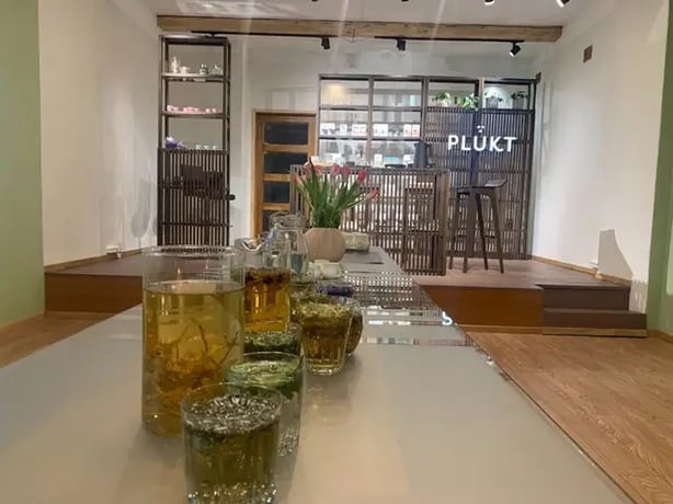 The teas at Plukt showcase the beauty of Latvia's biodiversity (Imy Brighty-Potts/PA)