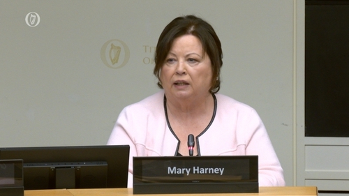 UL Chancellor Mary Harney said an investigation was launched when concerns were raised
