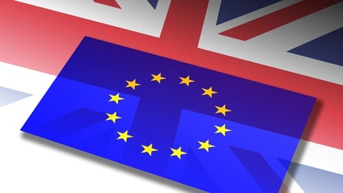 'UK In A Changing Europe' has published a series of articles looking at the candidates' policies in areas such as the economy, immigration, and health