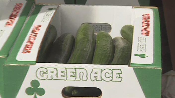 Irish grown cucumbers (1992)