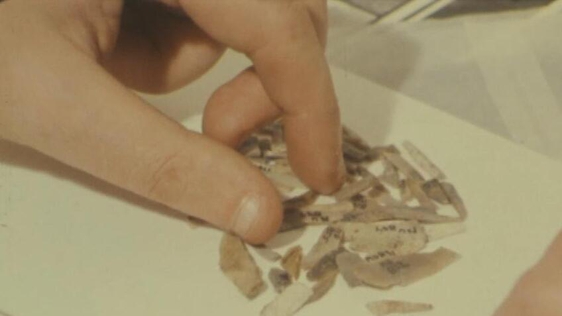 Mesoliths discovered at Mount Sandel (1977)