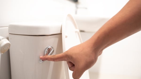 Irish Water says 'only the 3 Ps: pee, poo and paper' should be flushed down the toilet