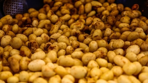 The potato harvest was impacted by the bad weather late last year