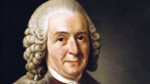 Carl Linnaeus, the Father of Classification