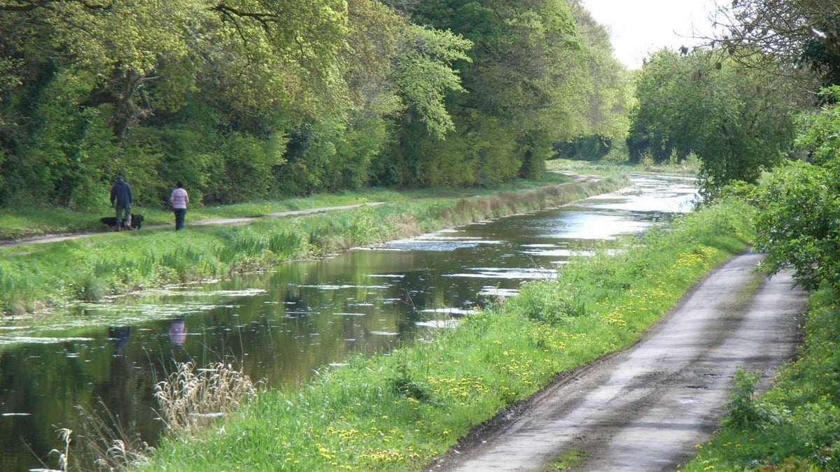 Naturefile - Canal life