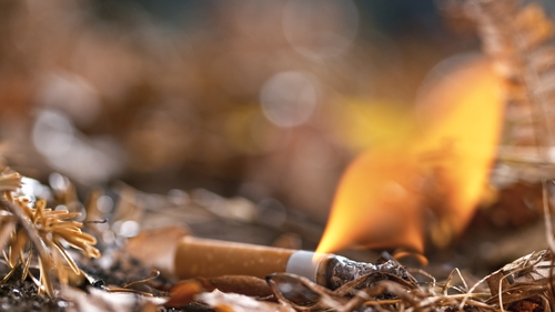 The tobacco industry is being blamed for causing widespread deforestation, diverting land and water away from food production, releasing plastic and chemical waste as well and emitting millions of tonnes of carbon dioxide