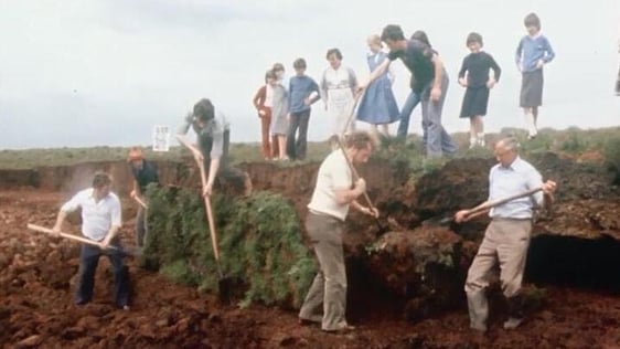 Turf cutting on Meedin bog in County Westmeath, 1982.
