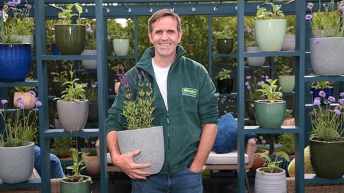 Award-winning garden designer and Woodie's garden expert Brian Burke