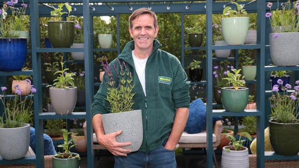 Award-winning garden designer and Woodie's garden expert Brian Burke
