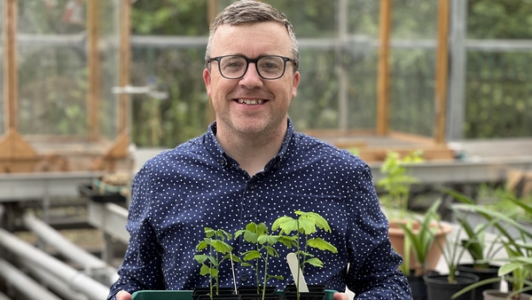 Dr Eoin Lettice is the project lead of The Hiroshima Seed Project at UCC