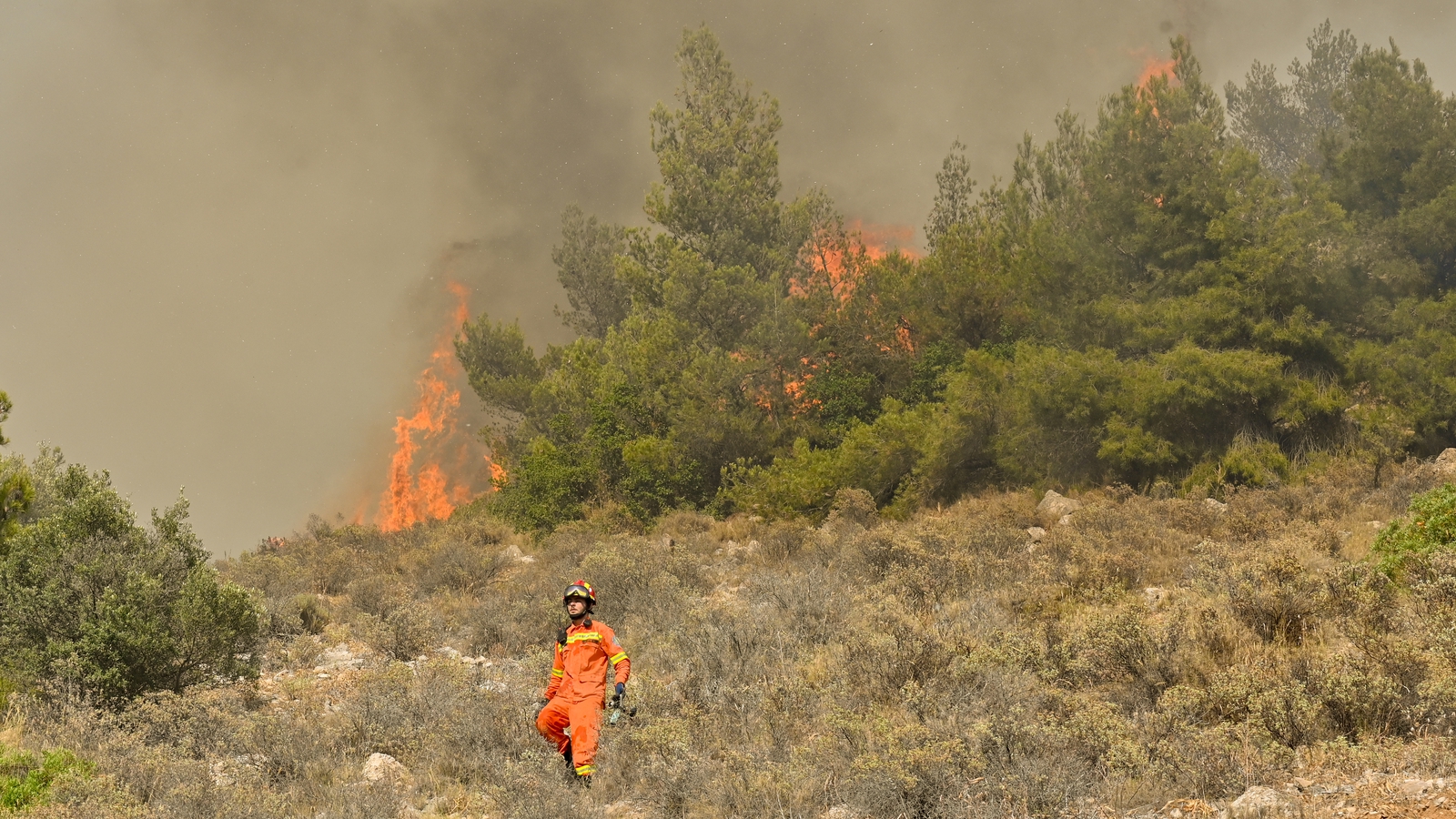 Greece evacuates Athens suburb under wildfire threat