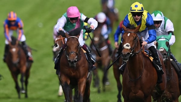 Westover (pink cap) found himself hampered at a crucial stage in the Derby