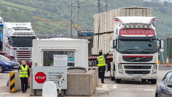 Green and red lanes at Northern Ireland ports, will govern both animal health and food safety issues as well as customs formalities (file image)