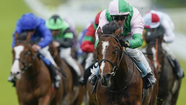 Royal Scotsman is set to reoppose 2000 Guineas runner-up Hi Royal in the Irish version of the race