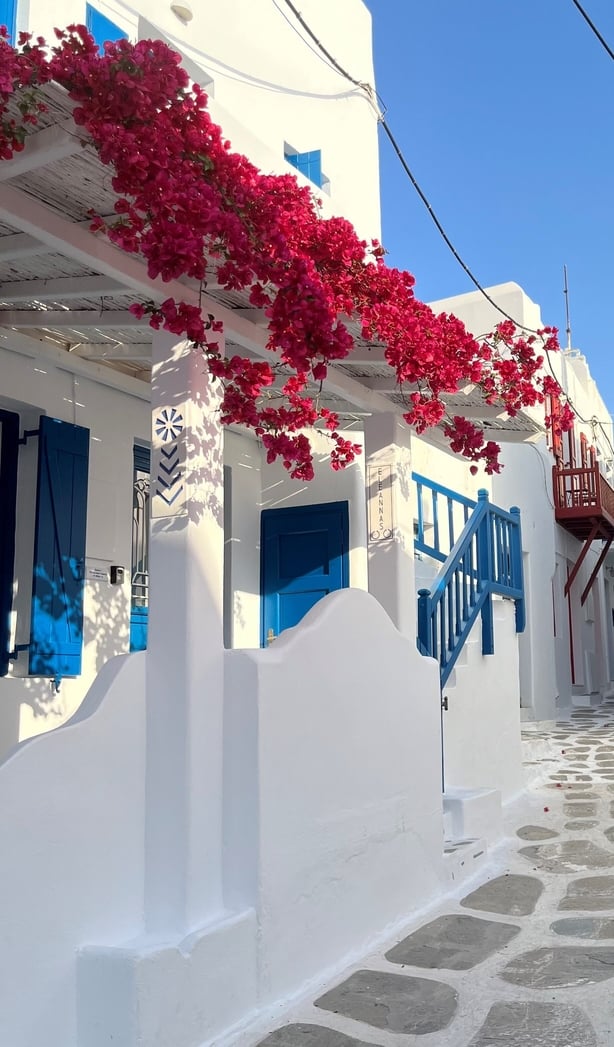 Το Bougainvillaea Mykonos προσθέτει ζωηρό χρώμα στους δρόμους (Aine Fox / PA)