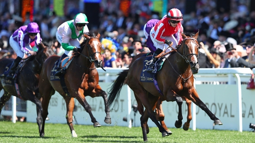 Bradsell followed up his impressive winning debut at York in the Coventry Stakes